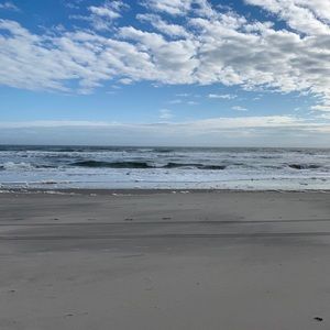 Meet your Posher, Haleigh